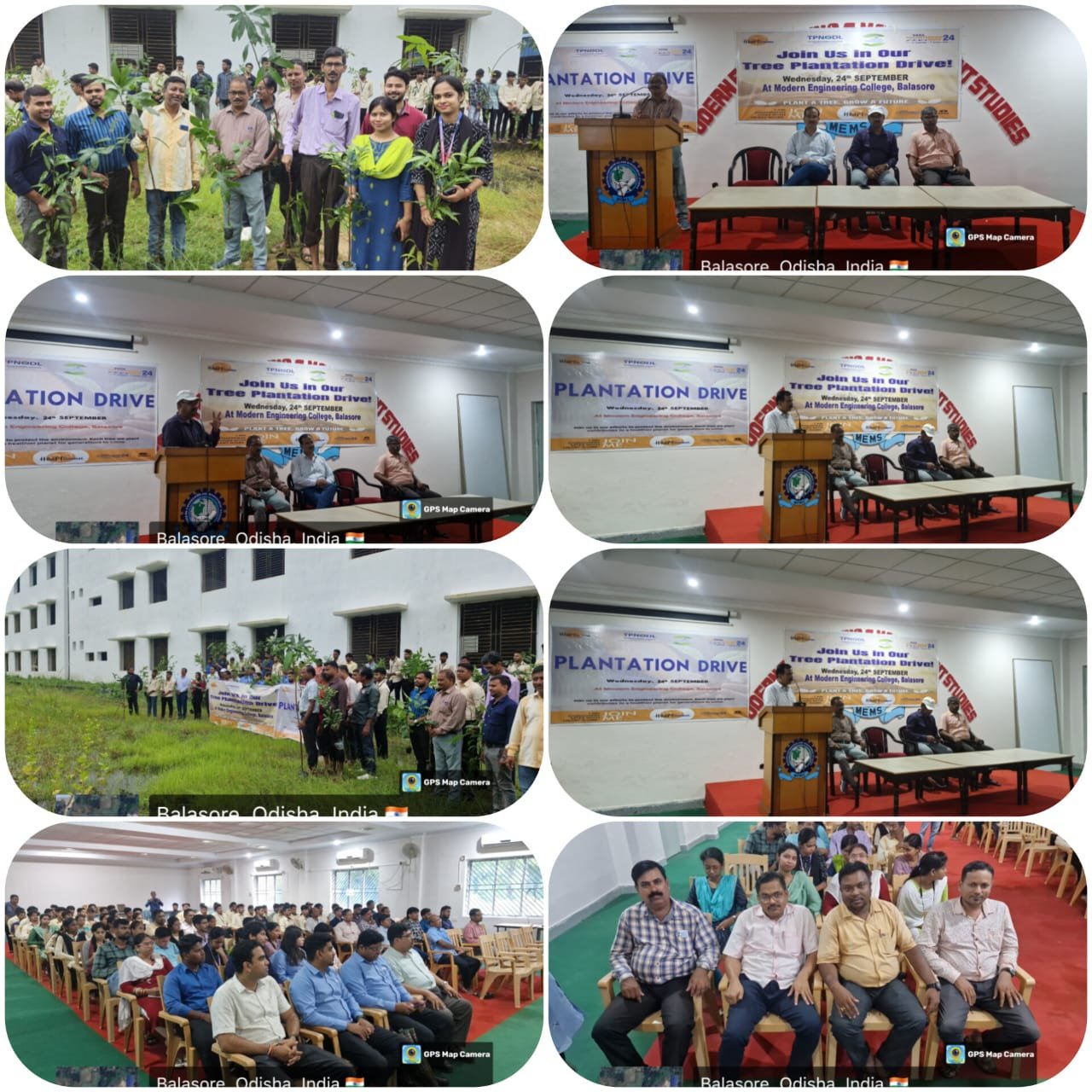 Tree Plantation  Drive